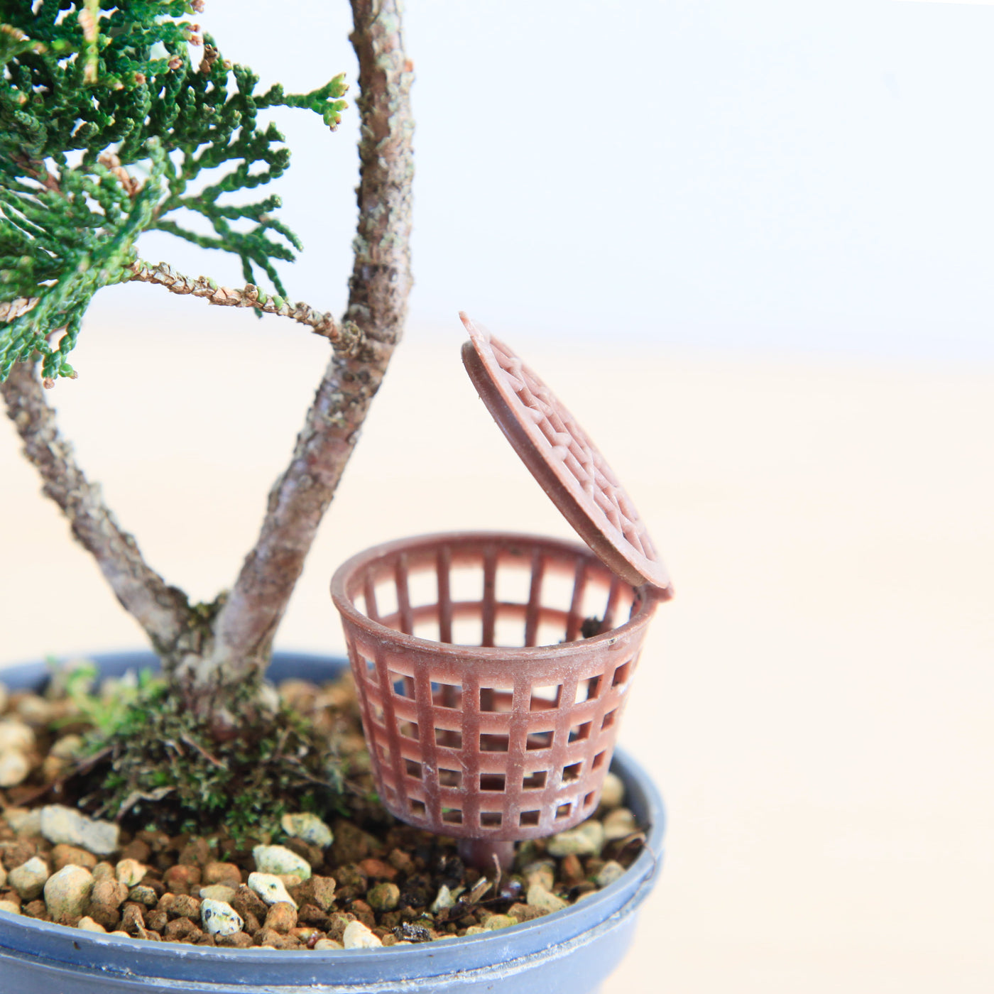 Bonsai Mestkorfje voor Voeding 35 mm