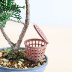 Bonsai Mestkorfje voor Voeding 35 mm